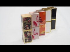 Hộp đựng son bóng rỗng tùy chỉnh OEM Ống son môi với giá bán buôn